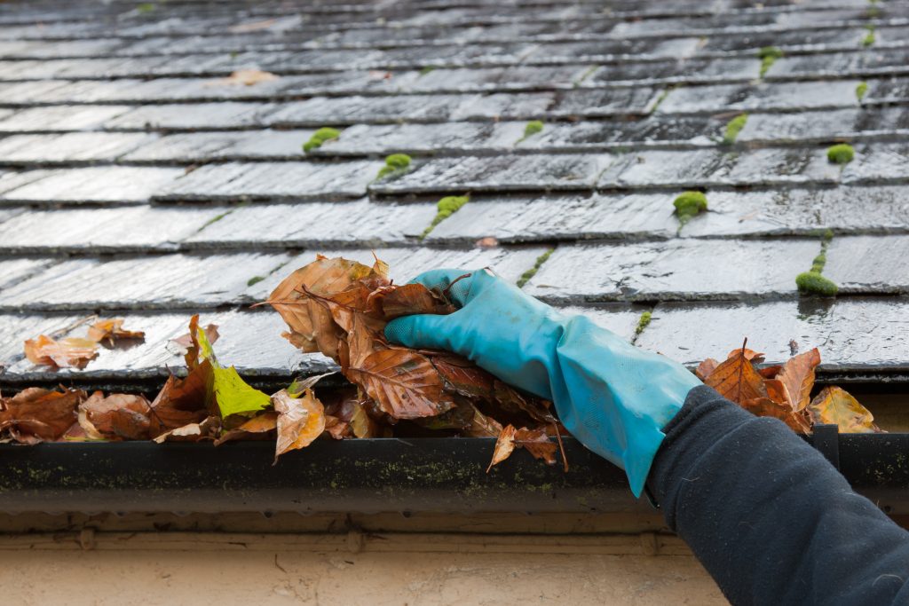Gutter Cleaning & Maintenance
