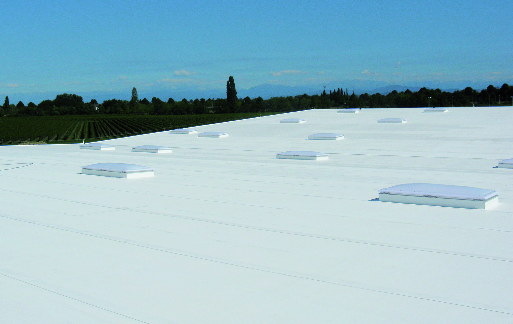 TPO Roofing